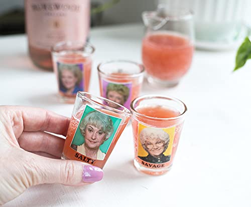 The Golden Girls "Thirsty Salty Extra Savage" 1.5-Ounce Mini Glass Cups, Set Of 4 | Official Tv Show Collectible Drinkware | Novelty Kitchen Gifts, Shot Glasses For Home Barware #TOP1