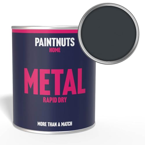 Paintnuts Grey (RAL-7016) Rapid Dry Metal Paint, Satin Finish 250ml