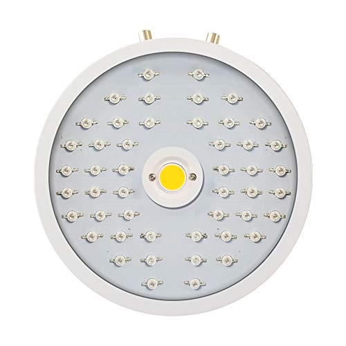 1000W Optical Lense Series LED Pflanzenlampe Dual LED Grow Light Vollspektrum Wachsen Mit Schalter Für Zimmerpflanzen Gemüse Und Blumen