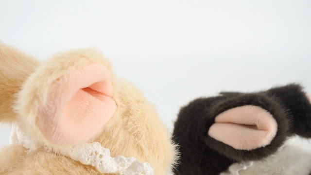 Amazon.co.jp: 三英貿易(Sanei Boeki) ちもしぃらびっつ ダッチ(這い
