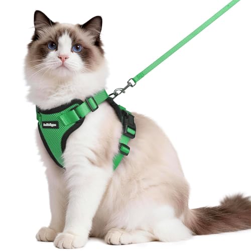 Image of rabbitgoo Cat Harness and Leash Set, Escape Proof Vest, Grass Green | Soft Breathable Mesh, Easy Adjustable Fit, Snap Buckles, Sturdy Clip, Reflective Strips, for Medium to Large Cats Walks, M