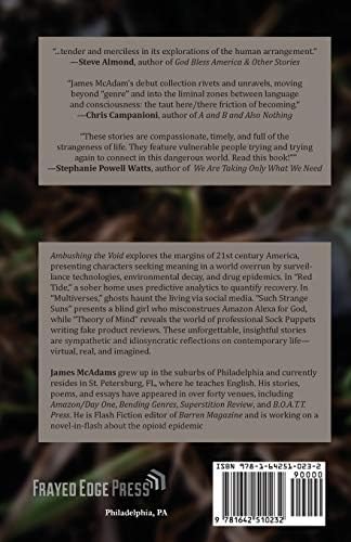 Amazon Com Ambushing The Void Mcadams James Books