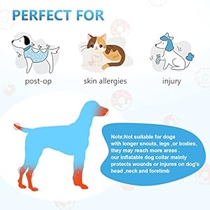 Soft-Dog-Cone-Inflatable-Cone-Collar-for-Large-Medium-Small-for-Dogs-Cats-Adjustable-E-Collar-Donut-Dog-Cone-Alternative-After-Surgery-to-Prevent-from-Biting-Licking-ScratchingIncluding-Pump - Cucciolini Doodles Soft-Dog-Cone-Inflatable-Cone-Collar-for-Large-Medium-Small-for-Dogs-Cats-Adjustable-E-Collar-Donut-Dog-Cone-Alternative-After-Surgery-to-Prevent-from-Biting-Licking-ScratchingIncluding-Pump