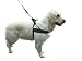 Kerbl Pet Miami Plus Geschirr 60-75cm Halsriemen: 40cm/40mm, schwarz