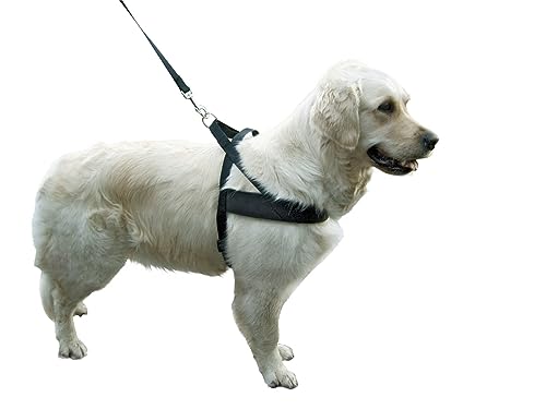 Kerbl Pet Miami Plus Geschirr 60-75cm Halsriemen: 40cm/40mm, schwarz