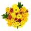 Yellow Mix (Autumn Delightful)
