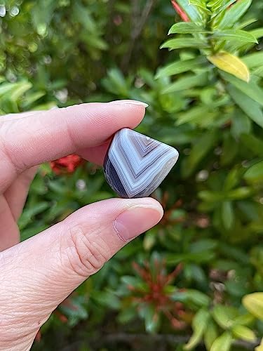 Image of 1 /2 LB Botswana Agate Tumbled Stones, Polished Botswana Agate Gemstone, Botswana Agate Healing Crystals (Botswana Agate)