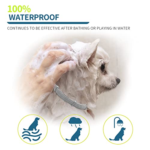 Advanllent Flea Collar for Dogs, 8 Month Flea and Tick Prevention, 27 inch Adjustable, 2 Count