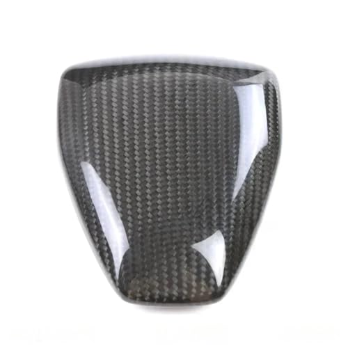 Protégez votre RH1250S : carénage carbone Sportster S 1250 contre rayures