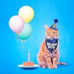 ADOGGYGO Cat Birthday Party Supplies, Birthday Boy Plaid Kitten Bandana, Blue Cat Party Hat with Numbers, Bowtie (Blue) - Image 2