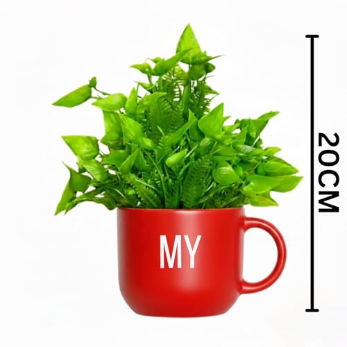 Image of Dekorly Colorful Wall-Mounted Mug Planters with Faux Greenery(20 CM)- Wall Decorative Pots for Vibrant Home & Office Decor| (3, My Little Garden)