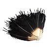 50PCS Gold Dipped Goose Feathers - Colorful Silver Dipped Goose Feather 6-8inches in Length for DIY Crafts Home Party Wedding Festival Decoration(Gold&Black) #1
