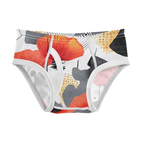 Toddler Boys Brief Toddler Underwear Cotton Comfort Waistband