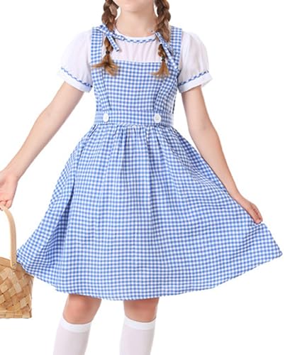 blue gingham dress dorothy Sassy Shortcake Set Available in two colors Replica Dorothy dress Judy Garland