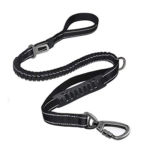 Top 10 Best Leashes for Dogs That Pull in 2020 (Buyer's Guide with Tips)