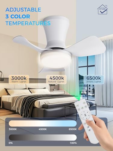 Image of LANMEL Ceiling Fan with Light, Modern Flush Mount Low Profile with Remote Control, Reversible, 3CCT Dimmable, Quiet,LED for Bedroom, Living Room, Indoor /Outdoor Patio Use 22 Inch Silver & White