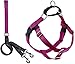 2 Hounds Design Freedom No-Pull Dog Harness Training Package, X-Small, Raspberry