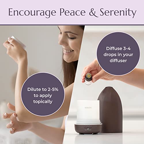 The 4 Best Plant Therapy Essential Oils Essential Oils of 2024