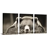 iKNOW FOTO 3 Pieces Brown Bear Wall Art - Grizzly Bear Canvas Prints for Home Modern Decoration - Animal Pictures, Stretched Canvas Ready to Hang, Each 12x16