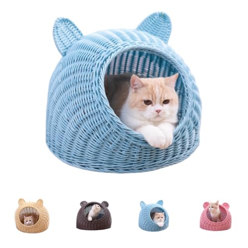 SandqvipaL 􂦂 LbgnEX h[    ~ ybgnEX h[^ L nEX xbh ʔN Lbgxbh  ې \ ҂ ʋC [ g[ I[V[Y K (i38×38j,u[)