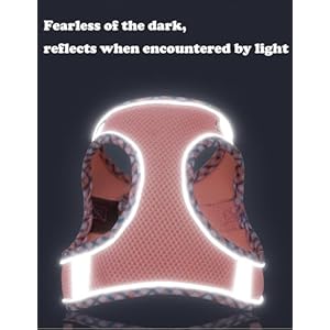 Dog Harness and Leash Set No Pull Adjustable Reflective Pet Harness for Small Medium Dogs Step in Vest Harness Easy Walk Dog Harness Outdoor Hiking Training for Small Dogs Catslightbluexs  Cucciolini Doodles Dog harness and leash set no pull adjustable reflective pet harness for small medium dogs step in vest harness easy walk dog harness outdoor hiking training for small dogs catslightbluexs   cucciolini doodles