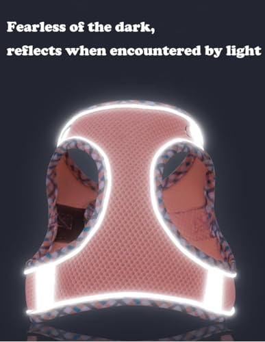 Dog Harness and Leash Set No Pull Adjustable Reflective Pet Harness for Small Medium Dogs Step in Vest Harness Easy Walk Dog Harness Outdoor Hiking Training for Small Dogs Catslightbluexs  Cucciolini Doodles Dog harness and leash set no pull adjustable reflective pet harness for small medium dogs step in vest harness easy walk dog harness outdoor hiking training for small dogs catslightbluexs   cucciolini doodles