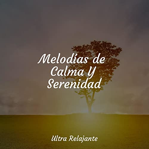 Melodías de Calma Y Serenidad de Dormir, Dormir Mucho, Musica Para ...