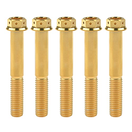 Ruifu�`�^�������t�����W�w�b�h�Z�p���t�{���gM10 20 25 30 35 40 45 50 55 60 65 70 75 80 85 90mm ��֎ԗp�����l�W5�� (M10x70mm Pitch 1.25, �S�[���h)