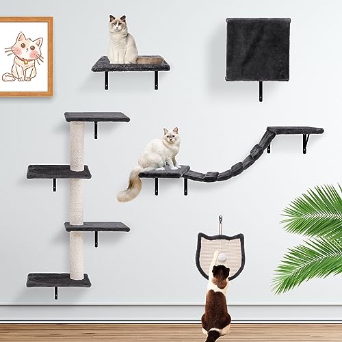 Cat Climbing Wall – The 15 best products compared - Wild Explained