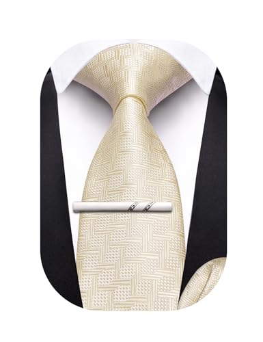 Image of Barry.Wang Boys Ties School Pre-Tied Kids Necktie Handkerchief Clip Set Uniforms Child Ties for 8-14 Years Wedding Party