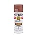 12 oz. Rusty Metal Primer Spray Paint [Set of 6]