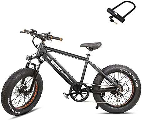 Electric Bike Electric Beach Bike 