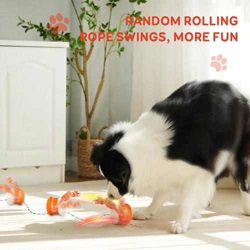 Interactive-Dog-Ball-Random-Path-Electric-Automatic-Moving-and-Rolling-Dog-Toy-with-Rope-for-Small-Medium-Large-Dogs-Motion-Activated-Dog-Stimulation-Toy-for-Boredom-Relief-Orange-Red