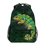Funktion: Tagesrucksack, Wanderrucksack, Reiserucksack, Laptop-Rucksack, Freizeitrucksack, Teenager-Büchertasche