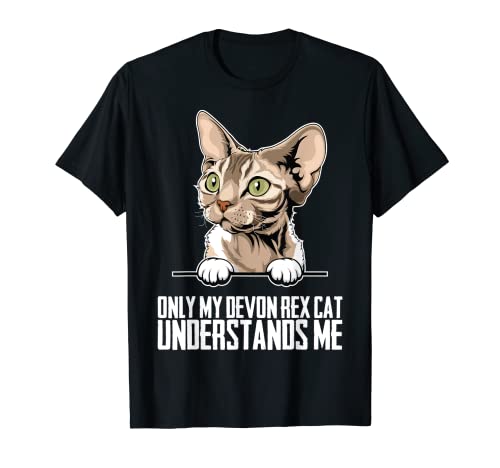 Devon Rex cat - Devon Rex - Devon Rex kitten