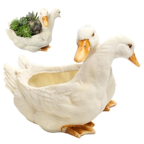 Jardinière succulente canard pour égayer votre décoration de bureau à domicile - 4