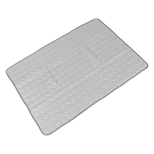 CAMPAGGIO DI RAFFREDDAMENTO DEL CANE MATTO DELLA GUASTO CHOTTO CASSIONE CANCA CANCIO COPERCHET INSEGLIO CAMPO DI DEL CANO 50 x 40 cm 62 x 0,50 mt.