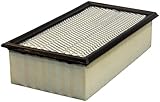 ACDelco Gold A2931C (89058389) Air Filter