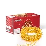 EVEREADY UTSAV 33 FEET, 46 LEDs String Lights, Warm White, Pk 1