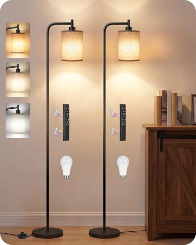 GOEBLESON 2Pack Dimmable Floor Lamp for Living Room with Remote