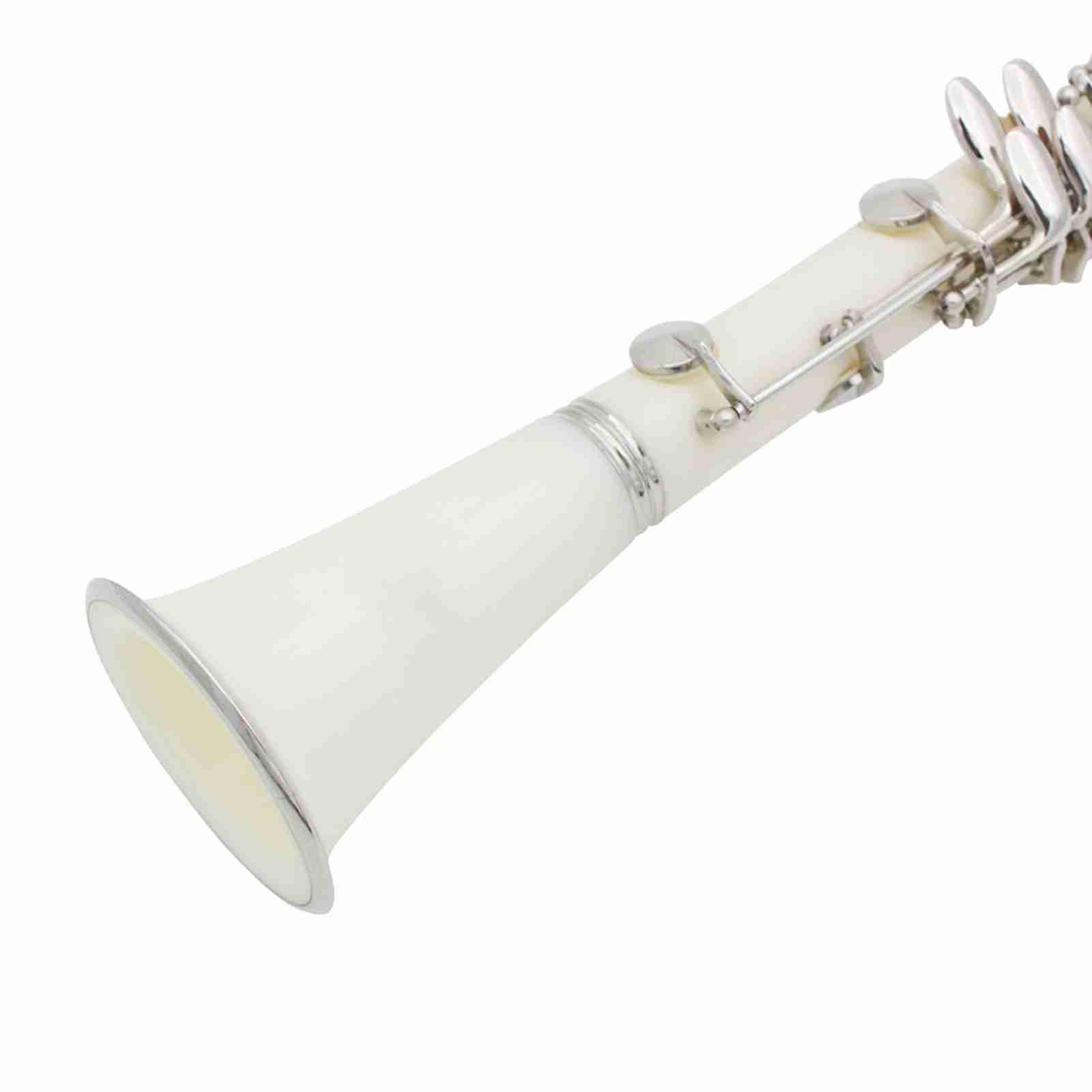 Eacam Clarinete Si Bemol 17 Teclas ABS Boquilla de Clarinete Soprano con Estuche Acolchado 10 Cañas Estuche de Caña Paño Limpieza Destornillador para Estudiantes Principiantes (white)