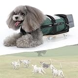 Hunderollstuhl, Kleiner Hundescooter für behinderte Hinterbeine, Hunderollstuhl mit Schlepptasche, Verstellbarer 4-Rad-Hundefahrradanhänger, Gehhilfe für Hunde (Grün, S (2–3,5 kg/4,4–7,7 lbs