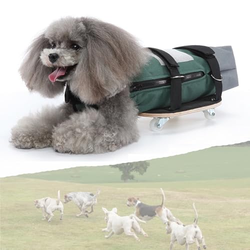 Chariot pour petit chien handicapé réglable à 4 roues - 2