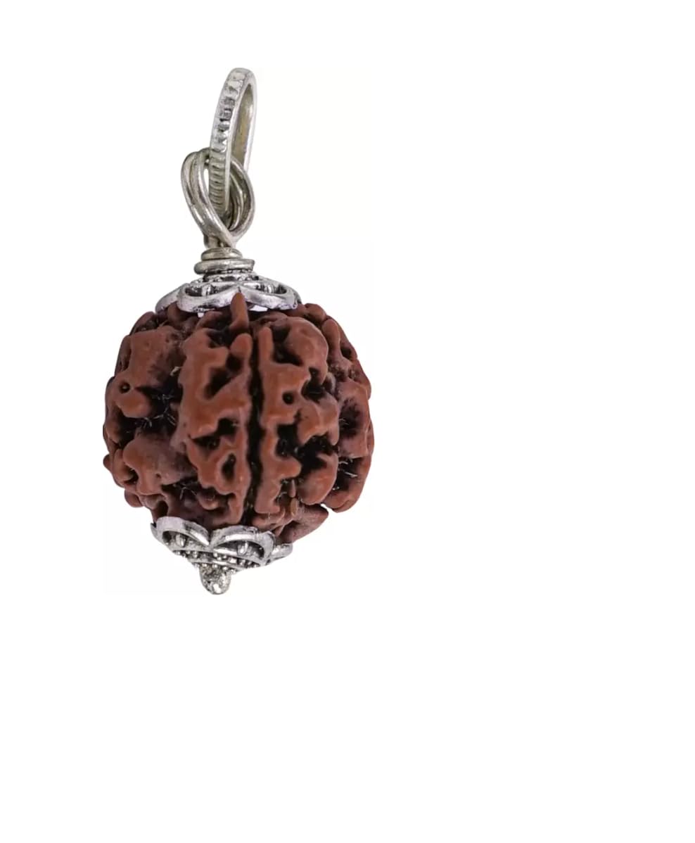 16 Mukhi Rudraksha Original Certified Nepali Natural Bead 16 सोलह सोहलामुखी नेपाली रुद्राक्ष Sola Mukhi Sohla Mukhi Sixten Face for Bhole Ki Mala Jaap Mantra Pooja 27mm-32mm 9STARS (B0BBQXD4F6) Amazon Price History, Amazon Price Tracker