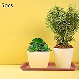 ＡＷＨＡＯ B0D1DQS62D lato 4