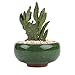 T4U 2.5 Inch Small Ceramic Succulent Planter Pot with Drainage Hole Set of 6, Ice Crack Glaze Plant Container for Cactus, Gardening Plant Gifts for Women Mom Aunt Home Office Decor