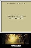 Novela española del siglo XXI (Crítica y estudios literarios)