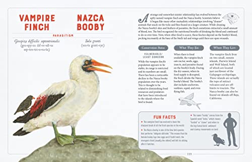 A Curious Collection Of Wild Companions: An Illustrated Encyclopedia Of Inseparable Species (Curious Collection Of Creatures) #TOP6