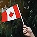 Canada Flag Canadian Flag, Small Mini Handheld Canada Flags on Stick, Ideal for Party Parades Sports Events Patriotic Festival Decorations