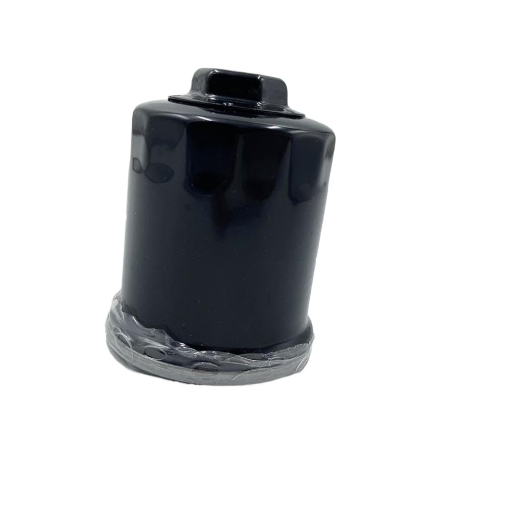 Filtro de Aceite Compatible Con Linhai 520 550 600 750 LH2V70 LH2V73 70196 LH520 LH550 ATV UTV Quad